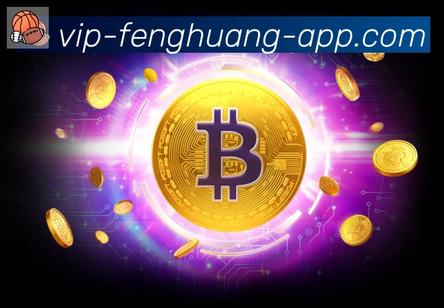 未来规划
