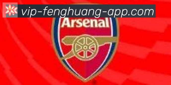 凤凰体育合作伙伴